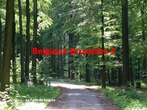 belgique_bruxelles_3_mauricette3