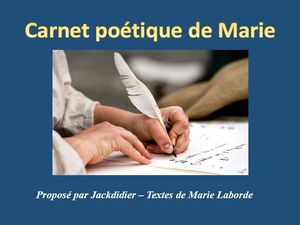 carnet_poetique_de_marie__jackdidier
