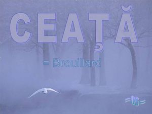 ceata_ou_brouillard