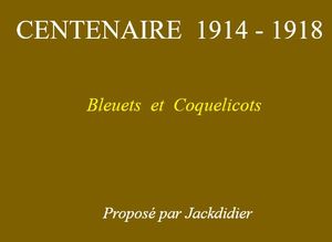 centenaire_1914_1918_bleuets_et_coquelicots_jackdidier