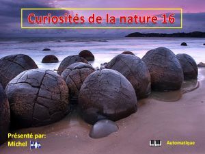 curiosites_de_la_nature_16_michel