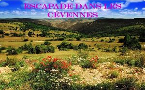 escapade_dans_les_cevennes_dans_une_nature_protegee_mauricette3