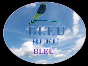 fleur_bleue_edith_p