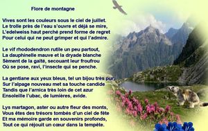 flore_des_montagnes