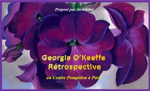 georgia_o_keeffe_retrospective_au_centre_pompidou__jackdidier