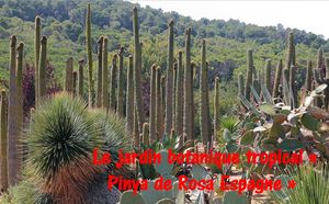 jardin_botanic_de_pinya_de_rosa_en_espagne_by_ibolit