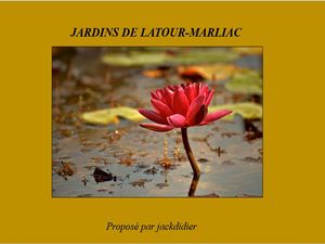 jardins_de_latour_marliac__jackdidier