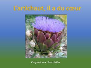 l_artichaut_il_a_du_coeur_jackdidier