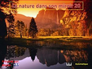 la_nature_dans_son_miroir_20_michel
