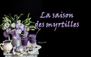 la_saison_des_myrtilles_mimi_40