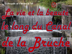 la_vie_et_la_beaute_le_long_du_canal_de_la_bruche__roland