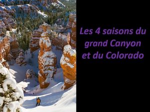 les_4_saisons_du_grand_canyon_am