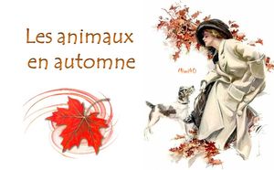 les_animaux_en_automne_mimi_40