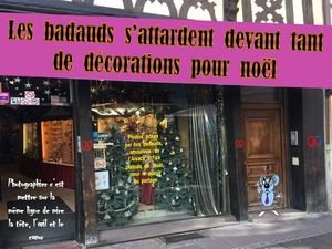 les_badauds_devant_tant_de_decorations_de_noel__roland