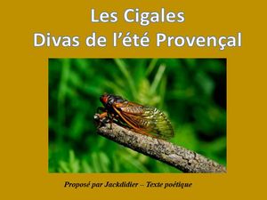 les_cigales_divas_de_l_ete_provencal__jackdidier