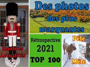 retrospective_photographique_des_plus_marquantes_2021__roland