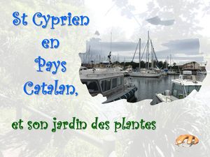 st_cyprien_p_sangarde