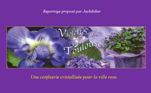 violettes_de_toulouse_jackdidier