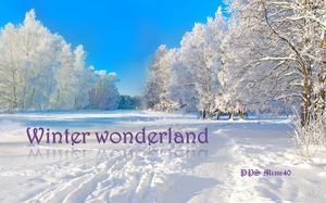 winter_wonderland_1_mimi_40