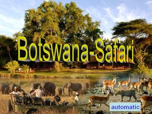 botswana_safari
