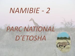 namibie_2__parc_d_etosha_marijo