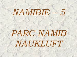 namibie_5_parc_namib_naukluft_marijo