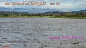 rio_grande_de_tarcoles