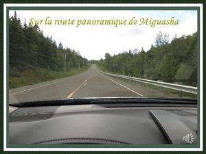 sur_la_route_panoramique_de_miguasha_reginald_day
