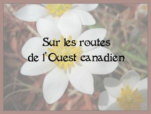 sur_les_routes_de_l_ouest_canadien