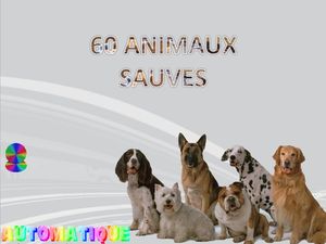 60_animaux_sauves_chantha