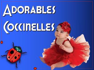 adorables_coccinelles_111