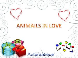 animals_in_love_chantha