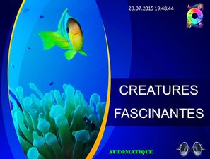 creatures_fascinantes_chantha