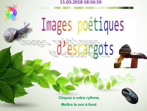 images_poetiques_d_escargots_chantha