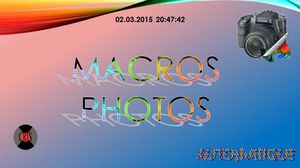 macros_photos_chantha