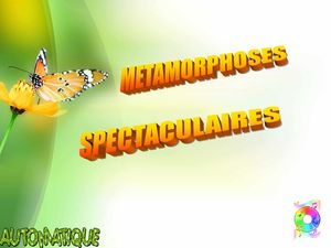 metamorphoses_spectaculaires_chantha