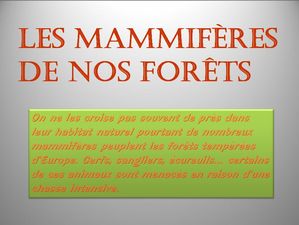 nos_mammiferes_dede_francis