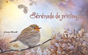 serenade_de_printemps_mimi_40