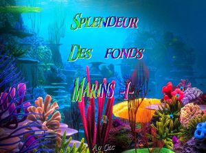 splendeur_des_fonds_marins_1_dede_51