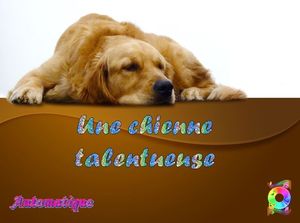 une_chienne_talentueuse_chantha