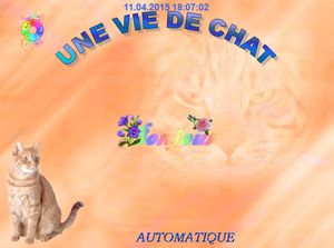 une_vie_de_chat_chantha