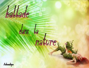 ballade_dans_la_nature_dede_51