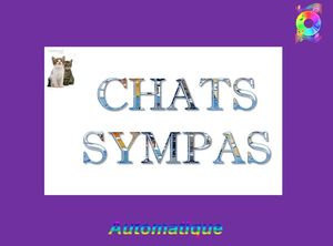 chats_sympas_chantha