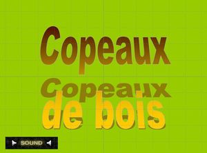 copeaux_de_bois