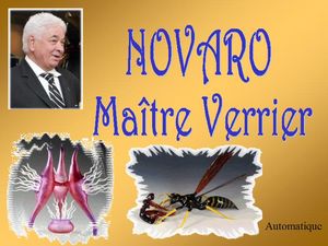 novaro_maitre_verrier_p_sangarde