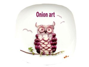 oignon_art