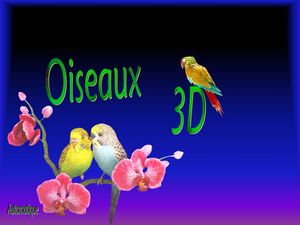 oiseaux_3d_dede_51
