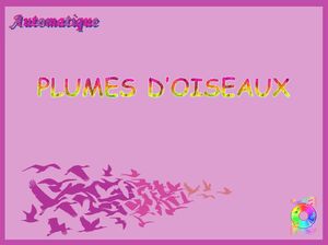 plumes_d_oiseaux_chantha