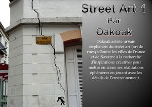 street_art_1_par_oakoak_by_mimi_40