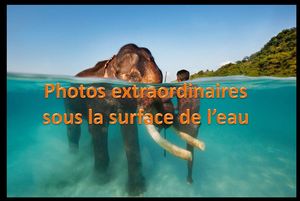 photos_extraordinaires_sous_la_surface_de_l_eau_pancho